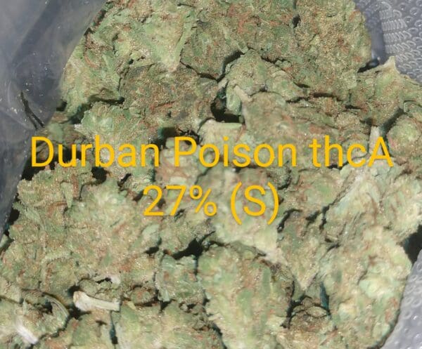 Durban Poison THCA Flower (S) 27%