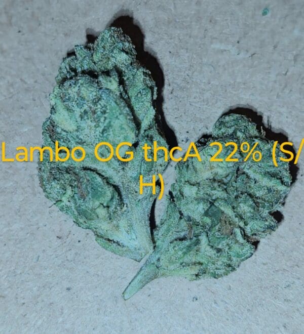 Lambo OG THCA Flower (SH) 22%