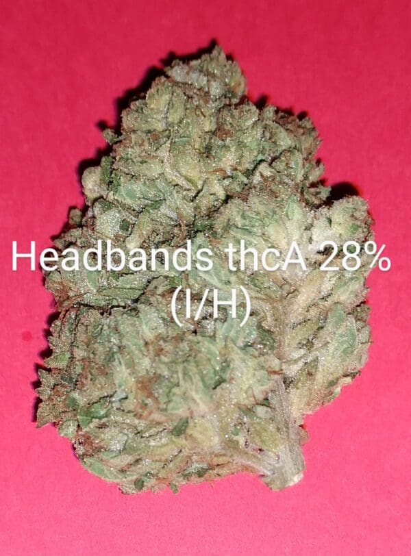 Headbands THCA Flower (IH) 28%