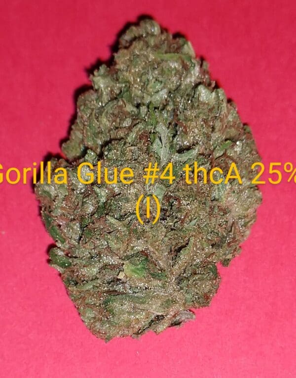 Gorilla Glue #4 THCA Flower (I) 25%