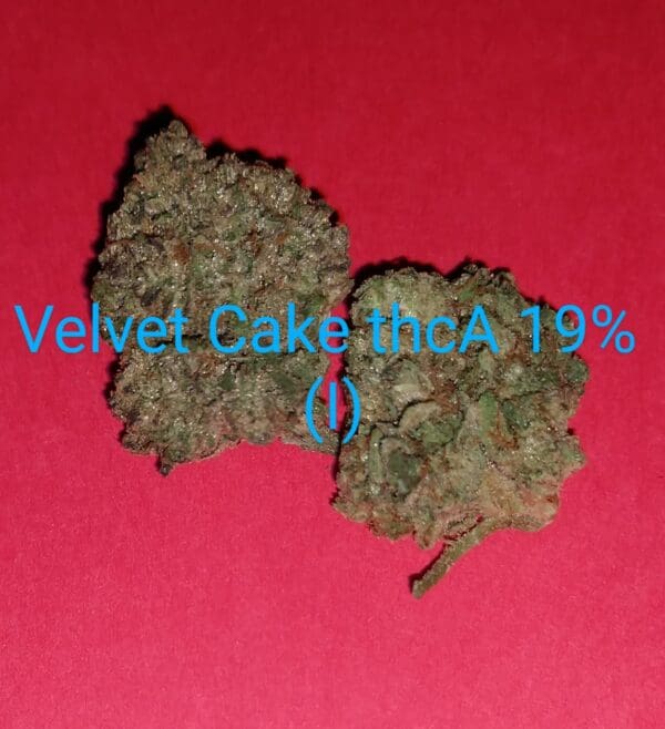 Velvet Cake THCA Flower (I) 19%