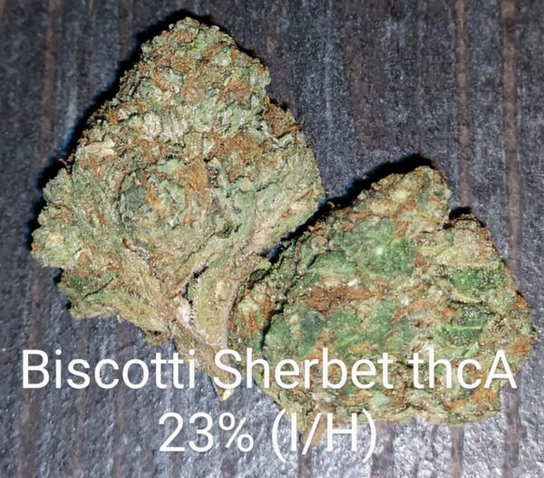 Biscotti Sherbet THCA Flower (IH) 23%