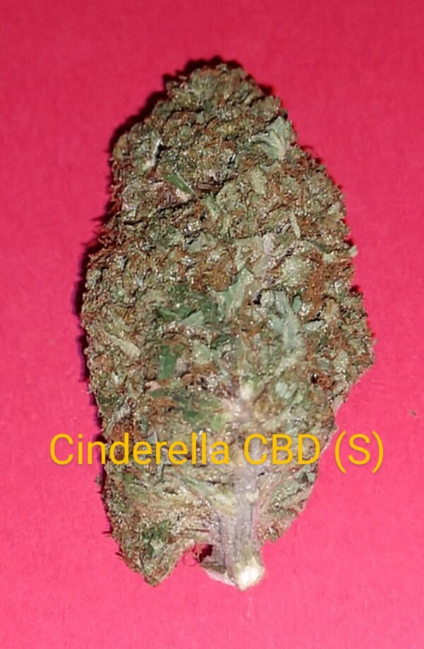 Cinderella CBD Flower (S)