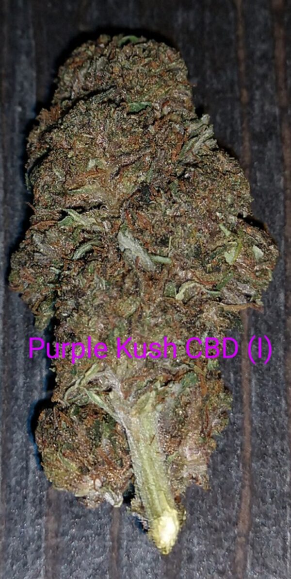 Purple Kush CBD Flower (I)